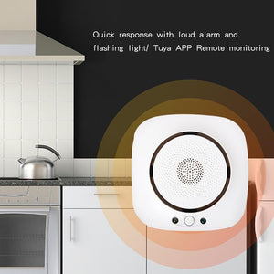 GAS LEAK DETECTOR FOR FIRE ALARM